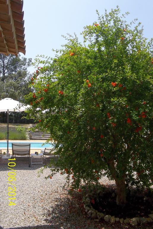 Bed and Breakfast Maprovencale Les Arcs-sur-Argens Exterior foto